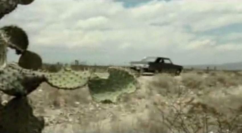 Oasis Cactus Kid Ad