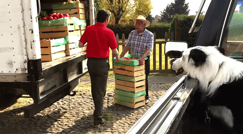 Petco What we feed them Matters comercial